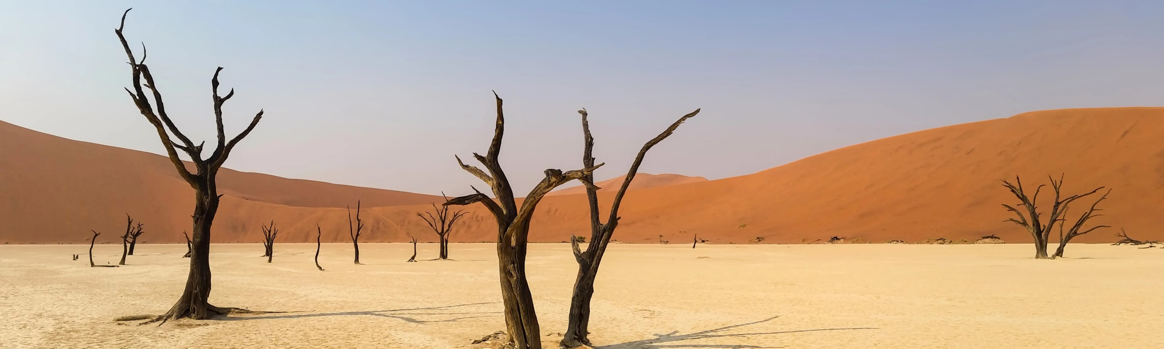 Namibia  flag